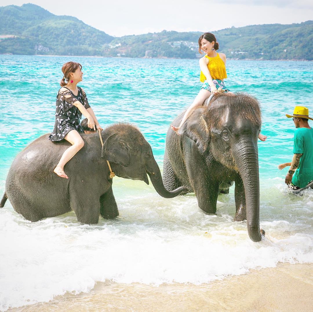 象乗り プーケットのビーチで象の水浴び エレファントスイムツアー しまかぜ案内人